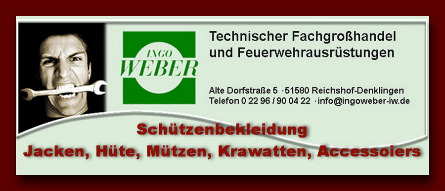 Ingo_Weber2
